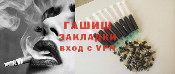 гашик Дмитров