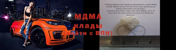 гашик Дмитров