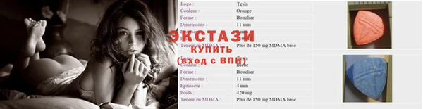 гашик Дмитров