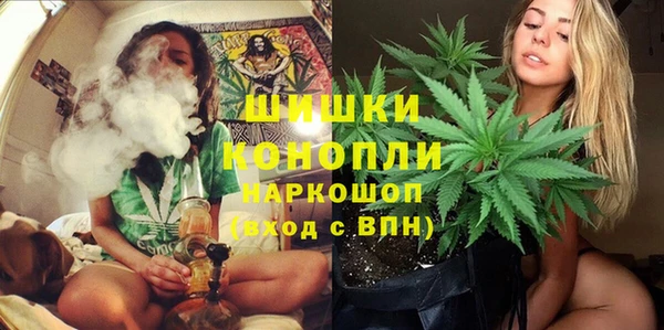 гашик Дмитров