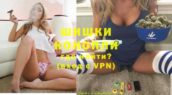 гашик Дмитров