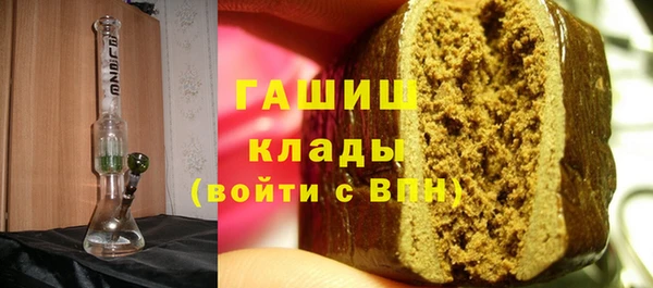 гашик Дмитров