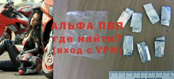 гашик Дмитров
