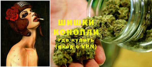 ешки Гусь-Хрустальный